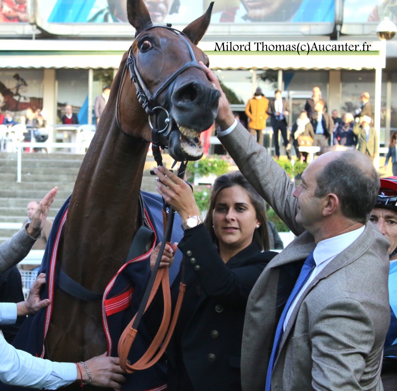 Photos Auteuil 9-10-2016 8282865J6A8272