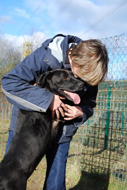 ROXANE (Type labrador) 82990DSC_0504