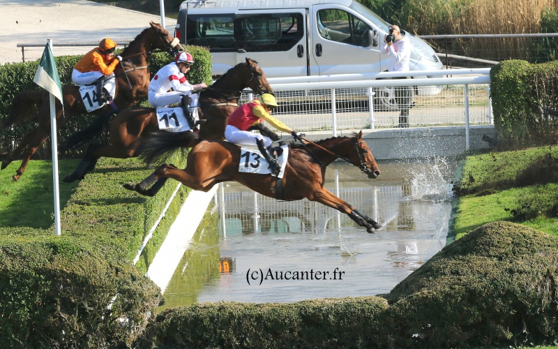 Photos Auteuil 9-10-2016 8312765J6A7785