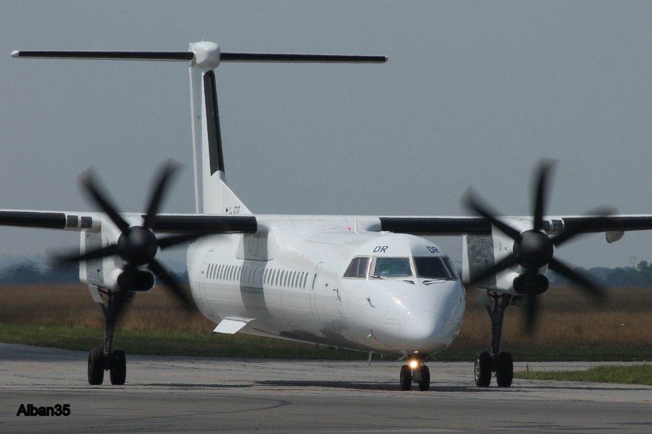 Stampe, Dash 8, Écureuil & Alpha Jet le 25/07/14 833893IMG0100