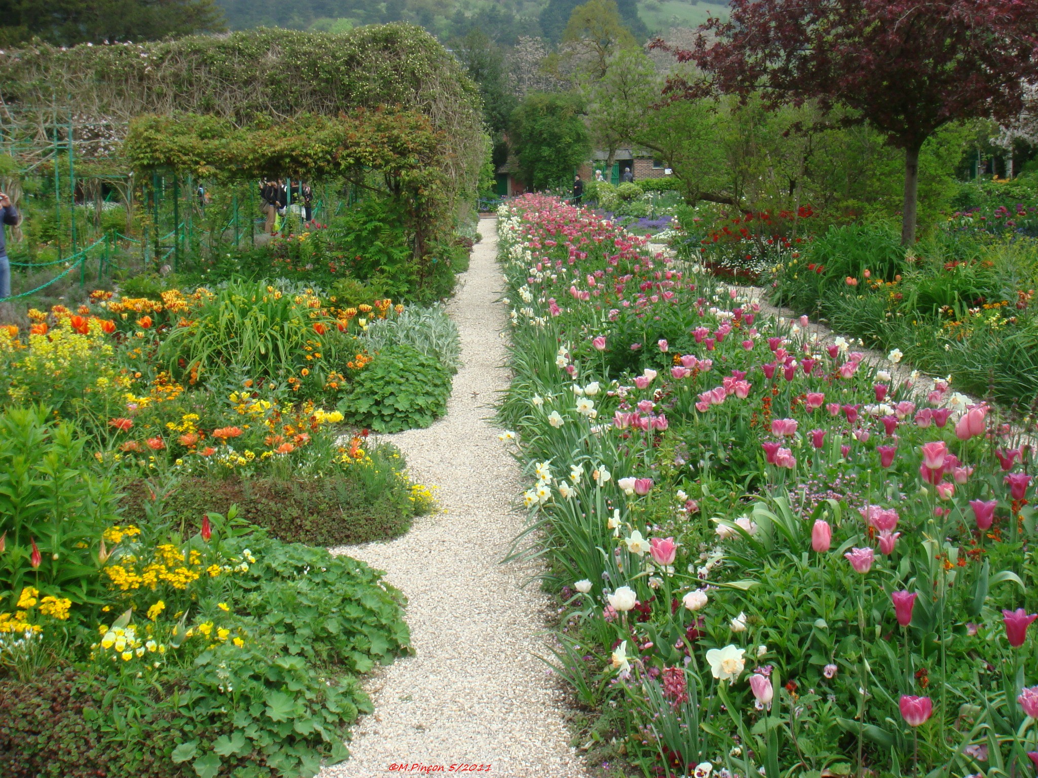 "GIVERNY" chez Claude MONET 834726DSC03107