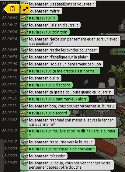 [CHU] Rapports d'actions RP de louanastar 838881RRPP3