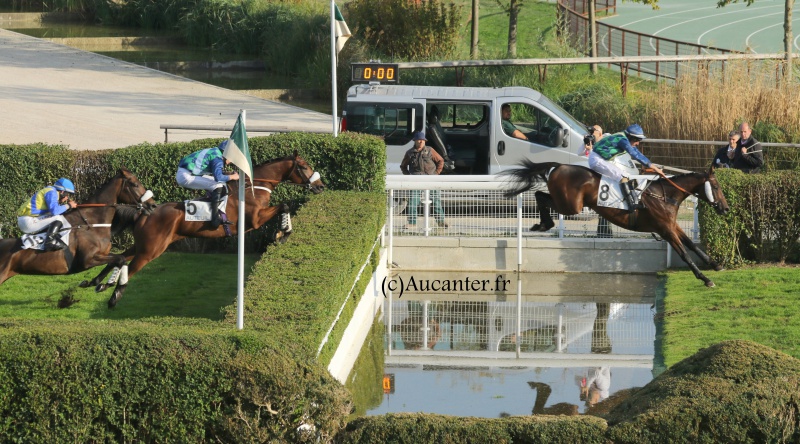 Photos Auteuil 9-10-2016 8518635J6A8020