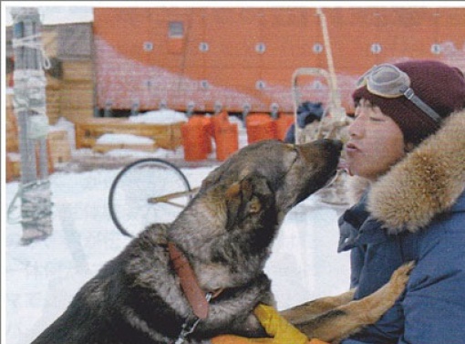 Nankyoku Tairiku - Antartica 2011 858363NK1