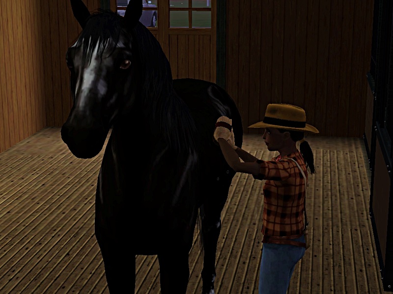 [Challenge] Teens and Horses "Sims 3" - Page 3 863385Polkanerveuse