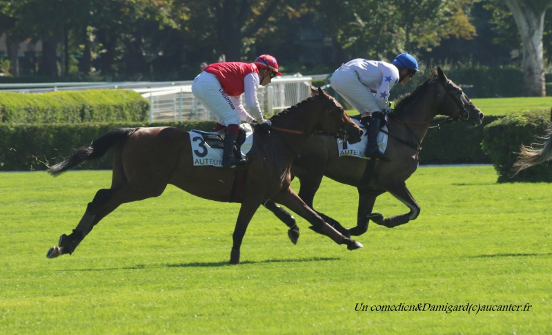 Photos Auteuil 24-09-2016 8739335J6A6846