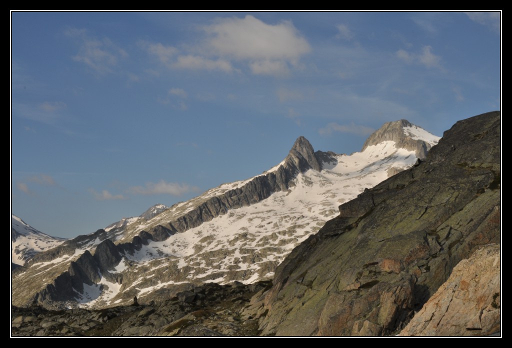 Une vie pyrénéenne de labrit des pyrénées - Page 6 875683mad0240