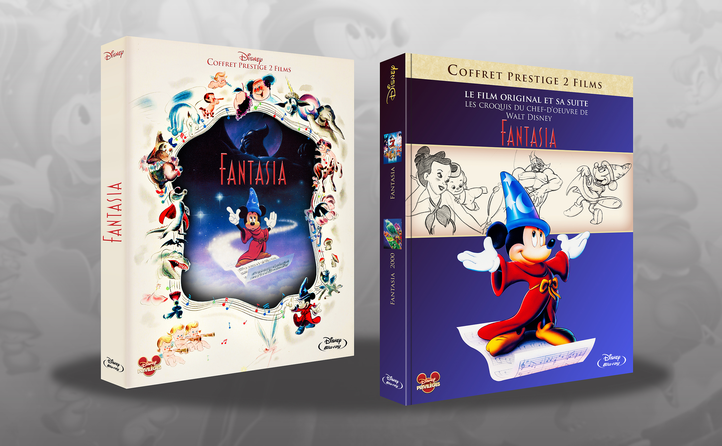 Les jaquettes de fans (DVD, Blu-ray) - Page 20 877147coffretFantasia