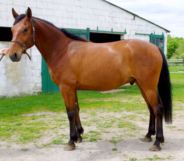 [PLACE CINDY] CARAMEL  Tendre... dur et collant à la fois ! 878289caramel4