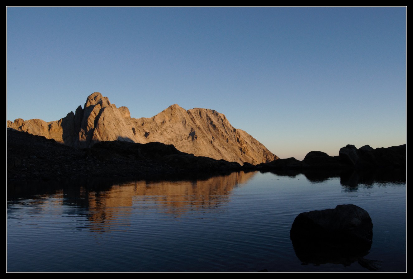 Une vie pyrénéenne de labrit des pyrénées - Page 7 880977mad0317