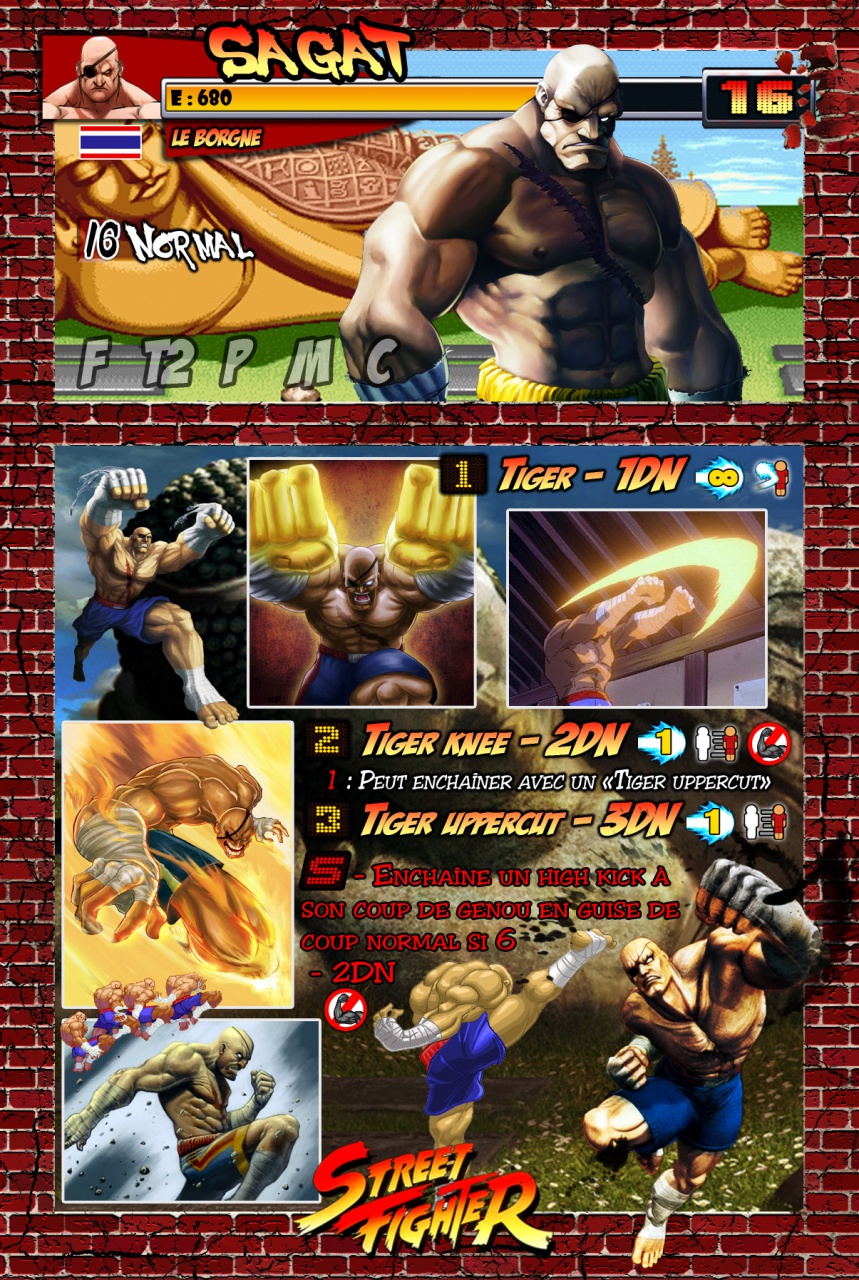 Fiches Street Fighter - Page 5 88128109Sagat