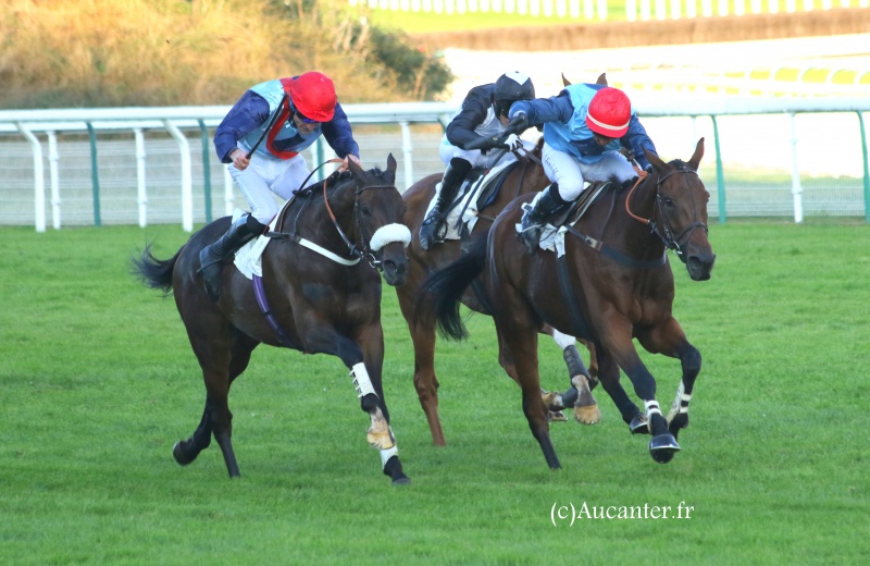 Photos Auteuil 9-10-2016 8822645J6A8235