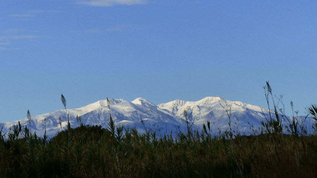 Canigou, sa première neige 893596canigou61024