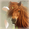 Équidés, avatars 118*118 898611Horse