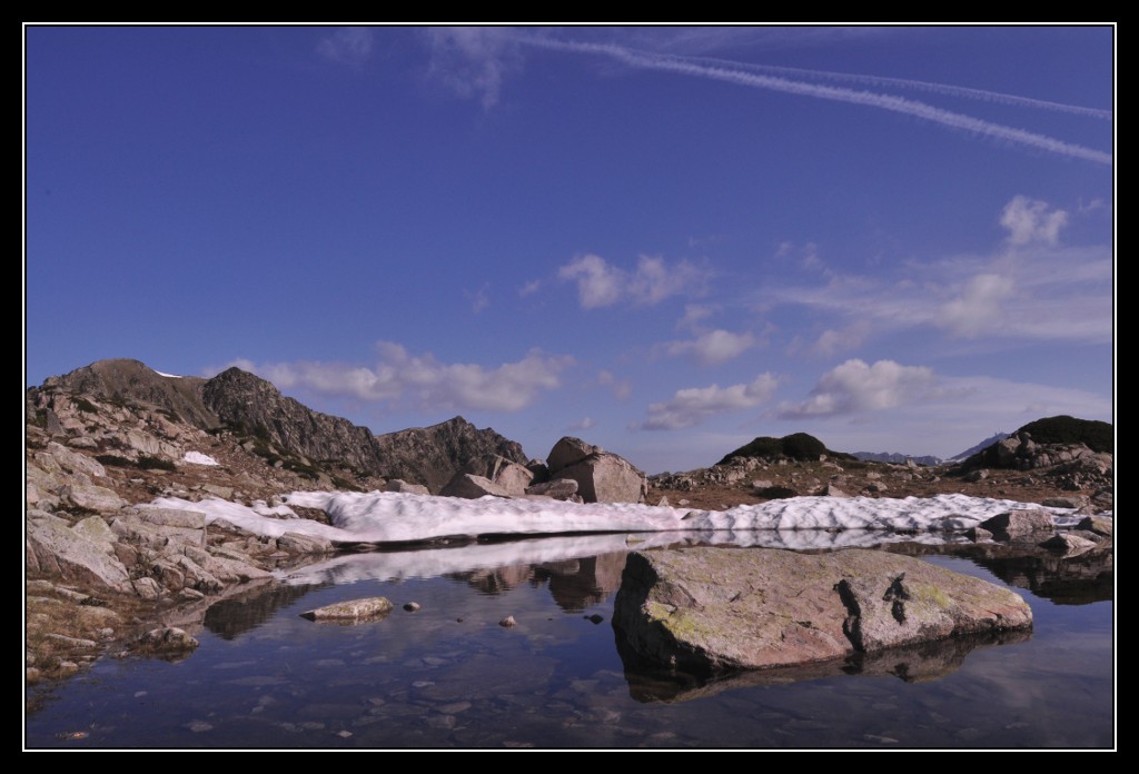 Une vie pyrénéenne de labrit des pyrénées - Page 6 899386mad0263