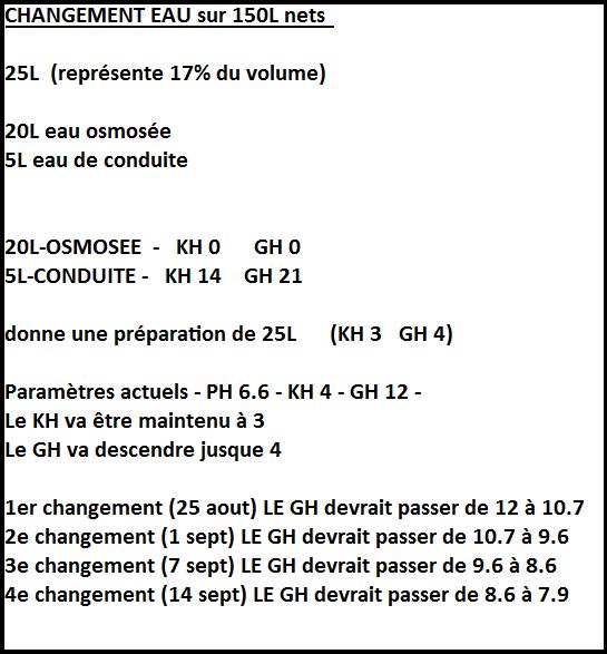 180L Amazonien (Pitidjango) - Page 3 900795changementdeau