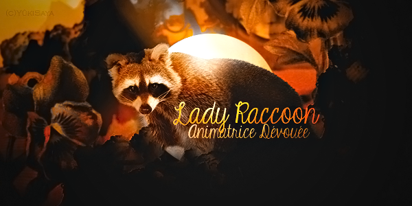 Cadeau de Lady Raccoon 907775LadyRatoonv2