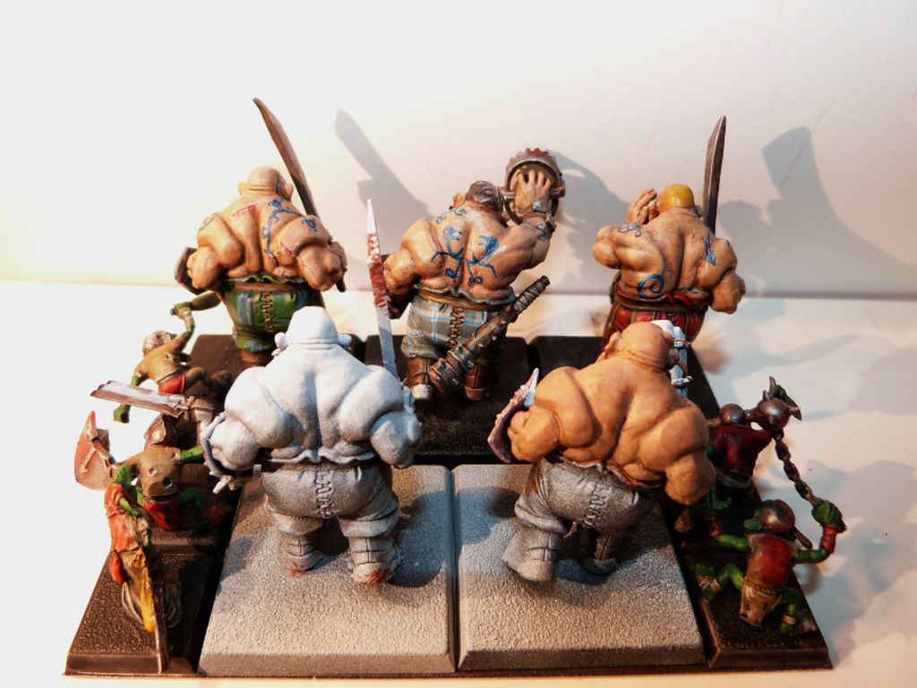 [KoW] Ogres Celtiques! - Page 2 908137P1010879