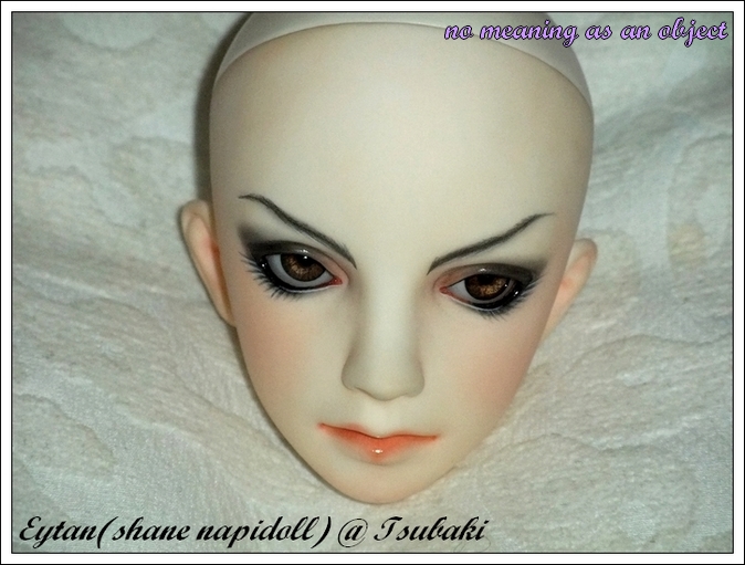 ( ¤ No Meaning...¤ Makeup tattoo) petite volks p.6  914694DSCF7808