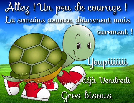 Bonjour-Bonsoir du mois d' Aout - Page 5 920717Vendreditortue