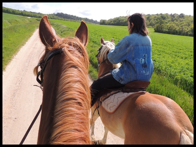 photos des balades que l'on fait depuis le pré... - Page 5 923095Mai12015BIS