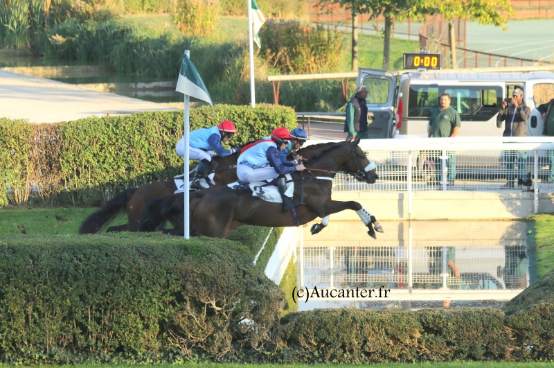 Photos Auteuil 9-10-2016 9240065J6A8192