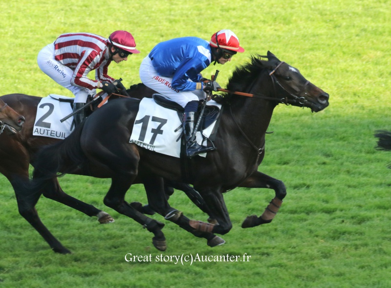 Photos Auteuil 9-10-2016 9259135J6A8097