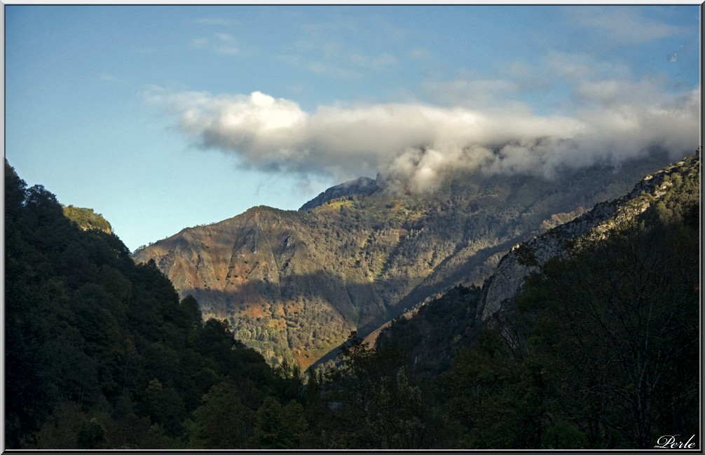 Vallée d'Aspe  927515aubise012