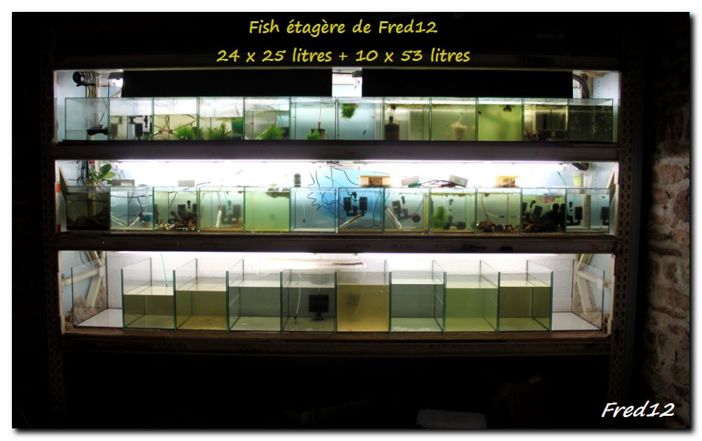 [vds] plusieurs petits aquariums 928066tagre