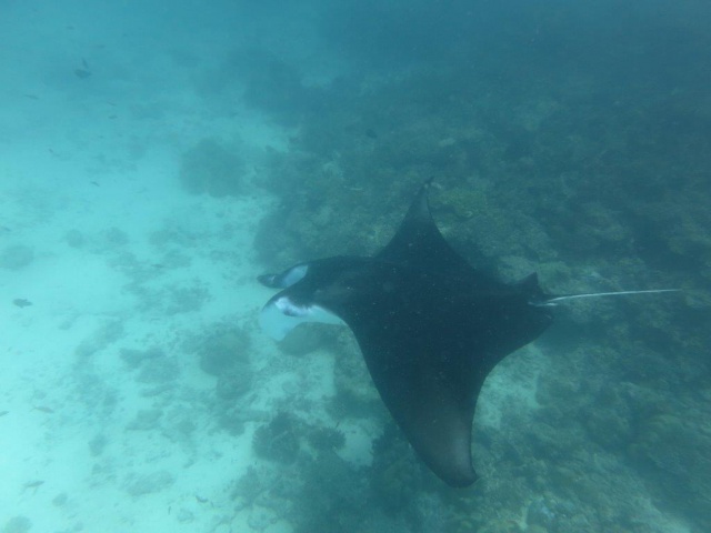 Quelques photos de mes dernières vacances (Maldives) 929171IMG4053