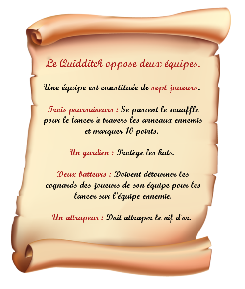 2.2 Comment joue-t-on ? Le Quidditch actuel 931359quidd2