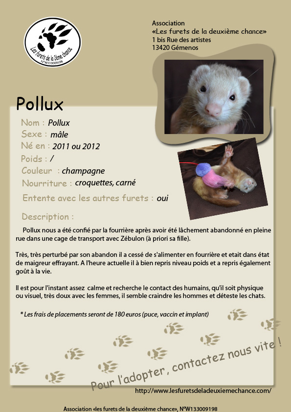 Pollux  - Page 2 932926Pollux