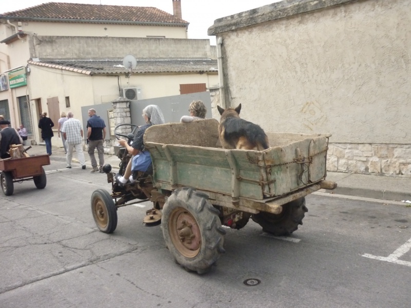 Défilé des vieux tracteurs 937292SENAS5Oct2014210