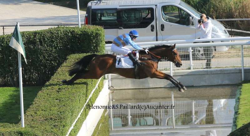 Photos Auteuil 9-10-2016 9393065J6A7774