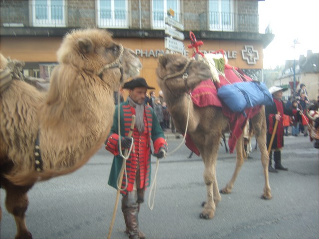 Vire 14500 : Parade de Noël Dimanche 14 Décembre 2014 940802012