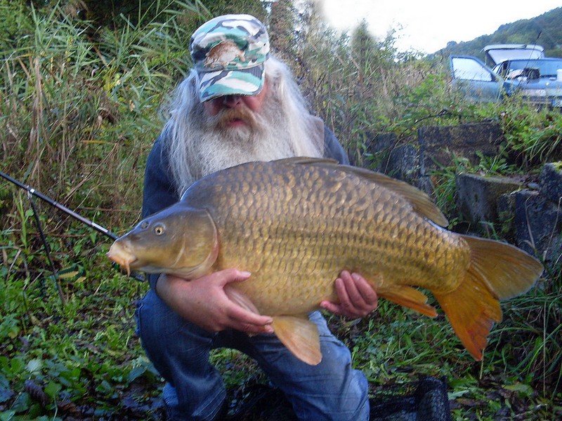 3h de pêche ce matin 941515SDC10309