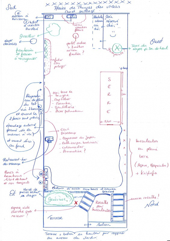 Aurore - Mon Jardinet - Page 4 942389projetjardin