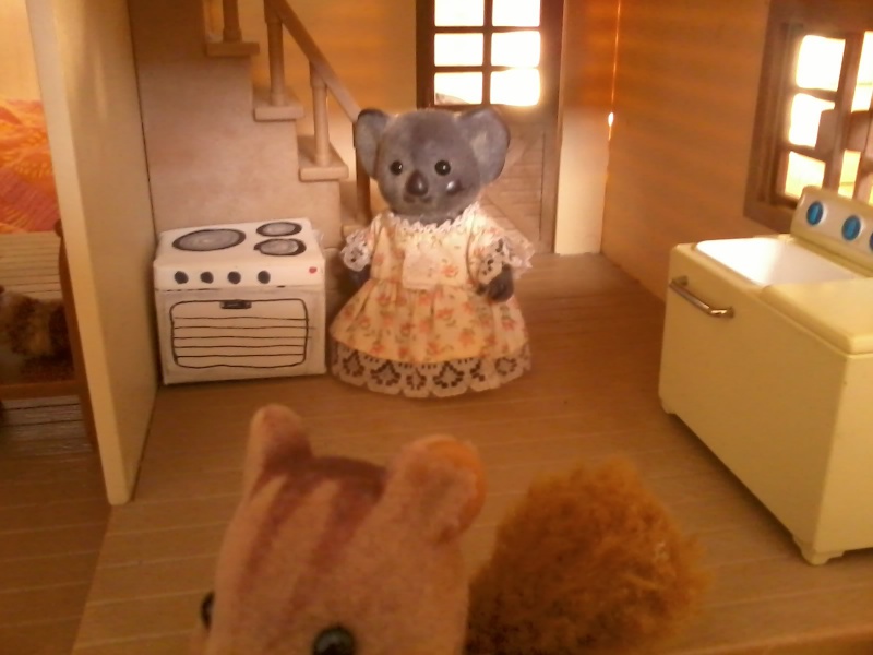 ma collection sylvanian 95436120131127142155