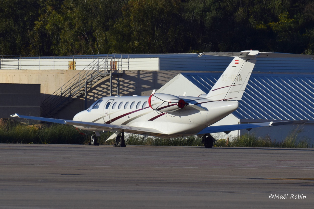 Palma de Mallorca-Son San Juan Airport (LEPA) Avril 2017   957548paques11592