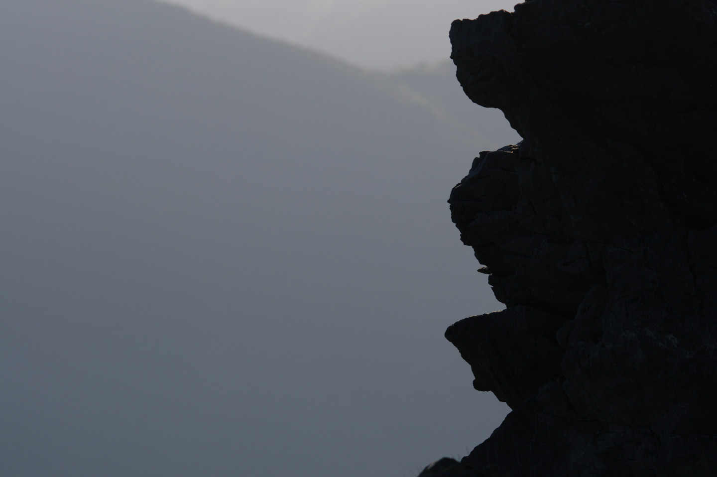 Une vie pyrénéenne de labrit des pyrénées - Page 20 95765339arreau235