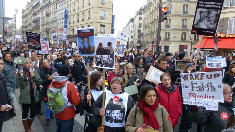 13 - Marche Contre La Fourrure - Paris 24 novembre 2012. 958363P1010085