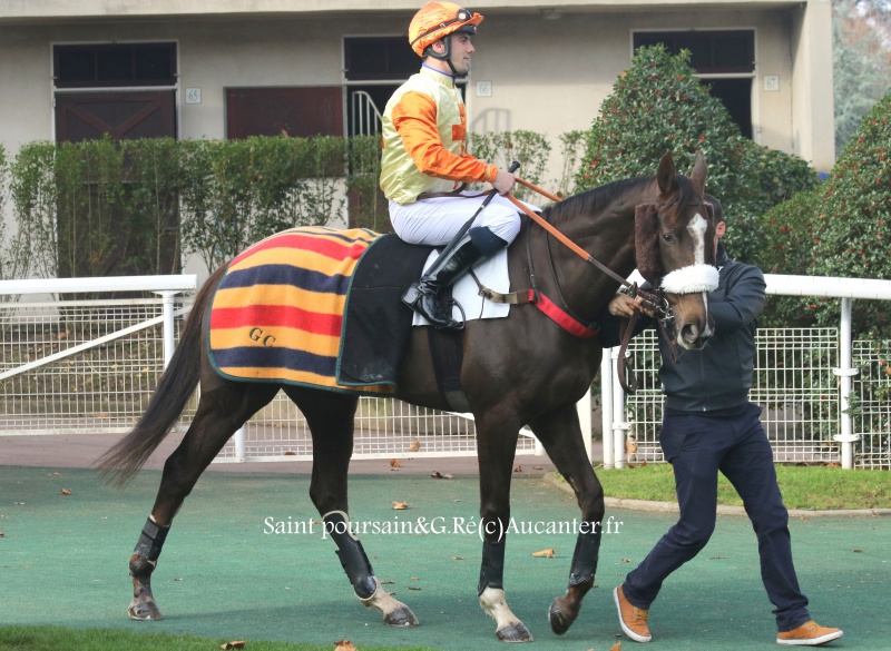 Photos Auteuil 27-11-2016 9650785J6A2608