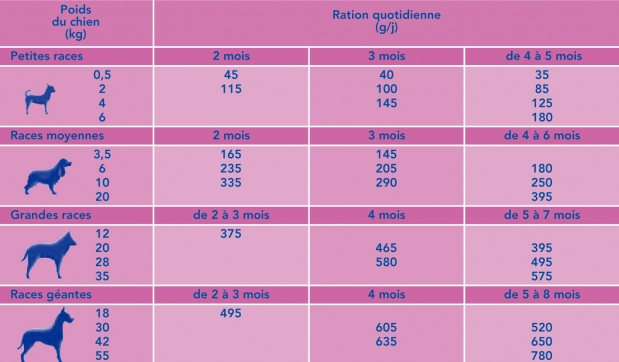 Problème de poids  972964virbacbabydogration1