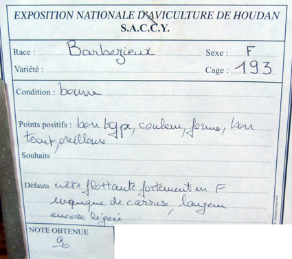 2014 - exposition d'aviculture Foire ST MATTHIEU 27 et 28 Septembre 2014 - Page 3 976545P1150781