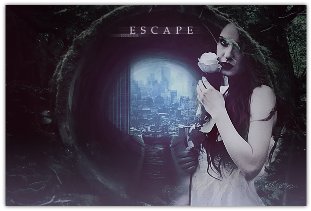  Galerie d'Egoist. - Page 2 982941escape