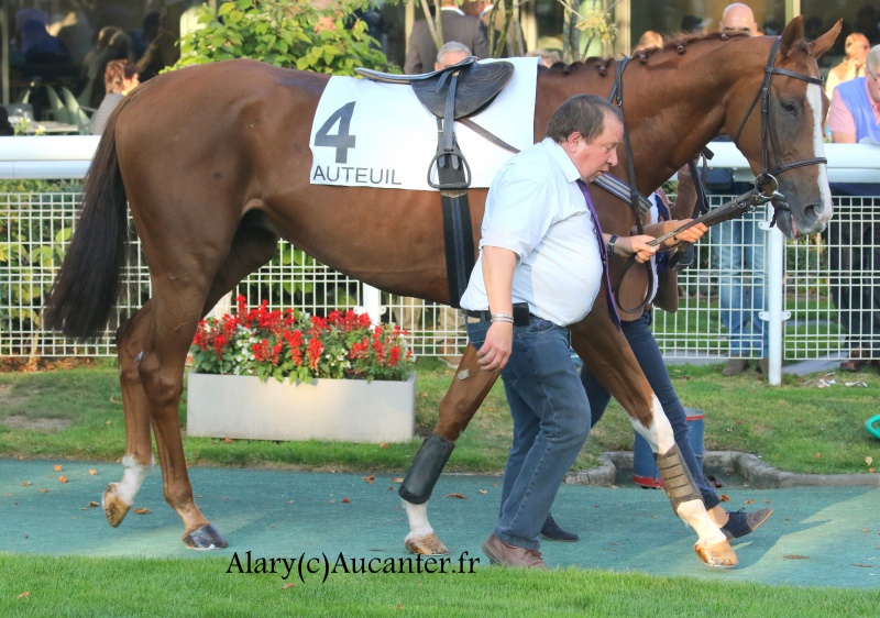 Photos Auteuil 9-10-2016 9951025J6A8146