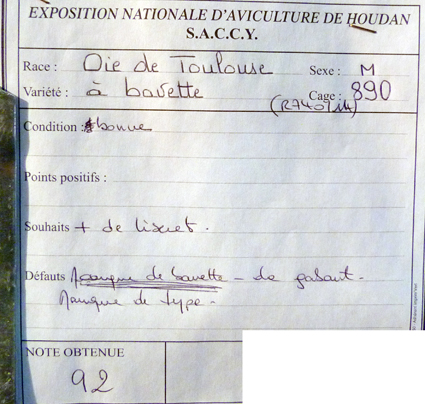 2014 - exposition d'aviculture Foire ST MATTHIEU 27 et 28 Septembre 2014 - Page 3 999068P1150885