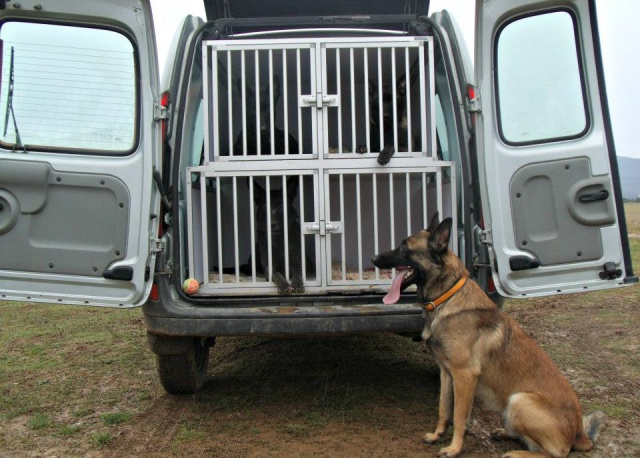 Cage - Cage de transport pour chien sur mesure 99983323104720755951938921614840547n