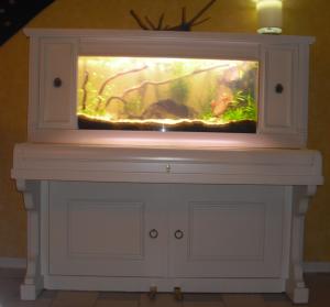 Fazette, aquariophile en devenir :) Mini_131525Krobo