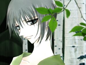 Fruits Basket Mini_264975fghj